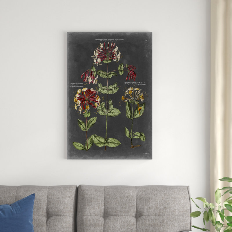 Tableau botanique rétro I, H 36 po x l 24 po x P 1,25 po
