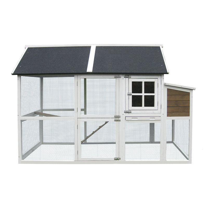 15.8 Square Feet with Chicken Run