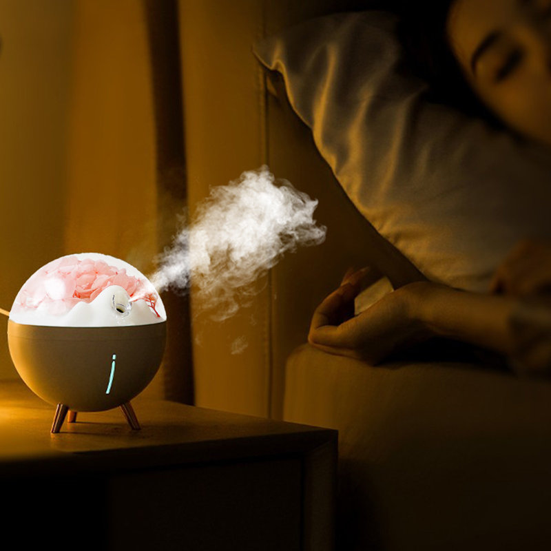 Humidificateur de fleurs spatiales petit portable de couleur humeur veilleuse silencieuse à deux vitesses brume d'humidification instrument hydratant à pulvérisation de fleurs immortelles