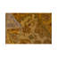 Bikaner Wool Oriental Area Rug