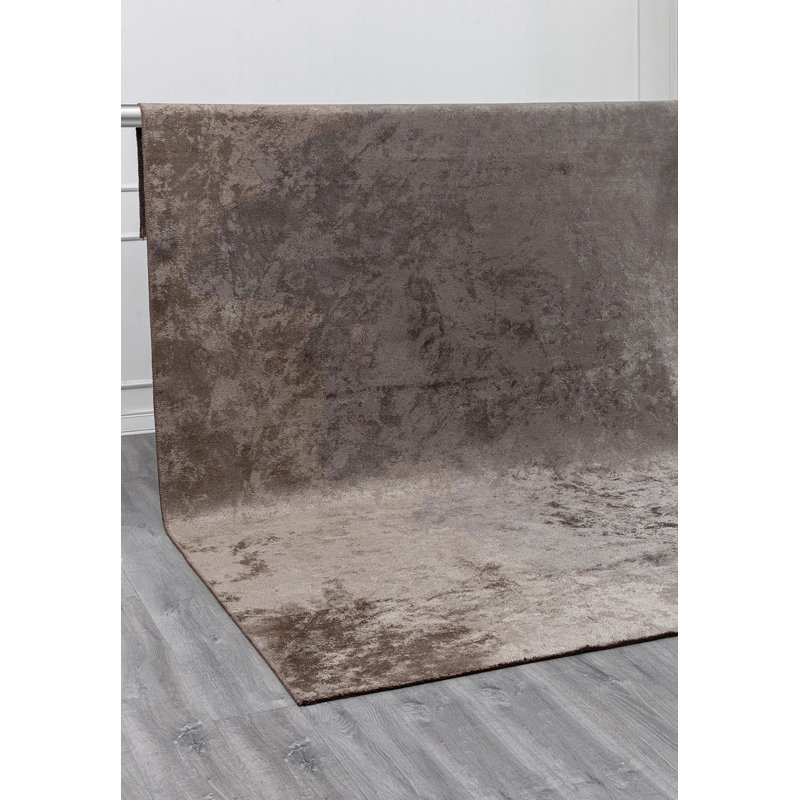 Deddrick Rectangle Abstract Cotton and Viscose Indoor / Outdoor Area Rug, Rectangle 6'7" x 9'10"