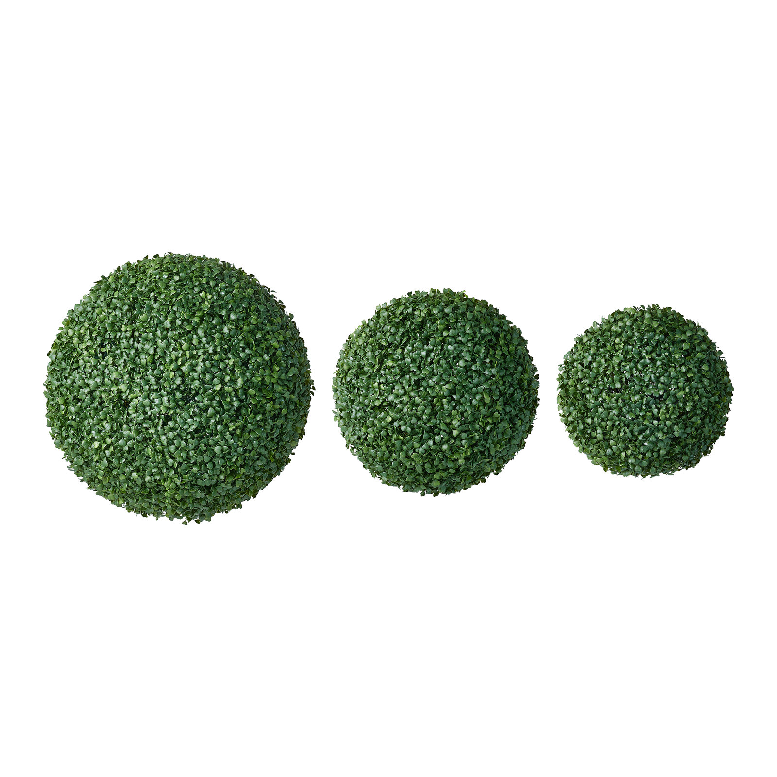 Ashwell Boxwood Topiary, 18" x 18", 3