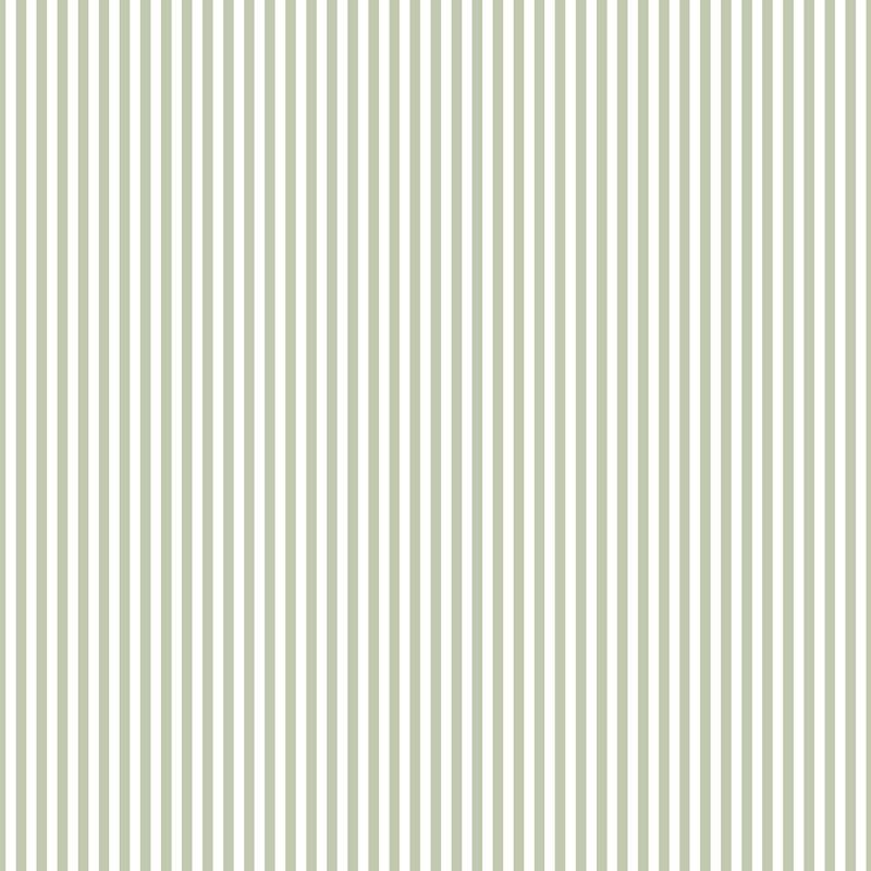Little Explorers 2 Small Stripe Wallpaper Roll, Green