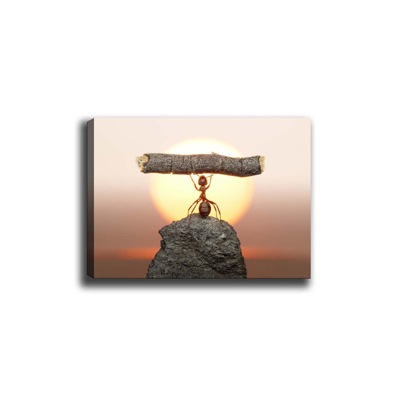 Wrapped Canvas Print