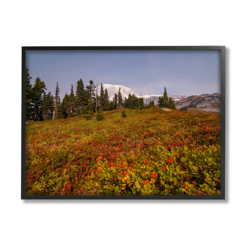 Conception d'art sur toile Stupell Industries Mountain Meadow par Aaron Matheson, H 11 po x l 14 po x P 1,5 po