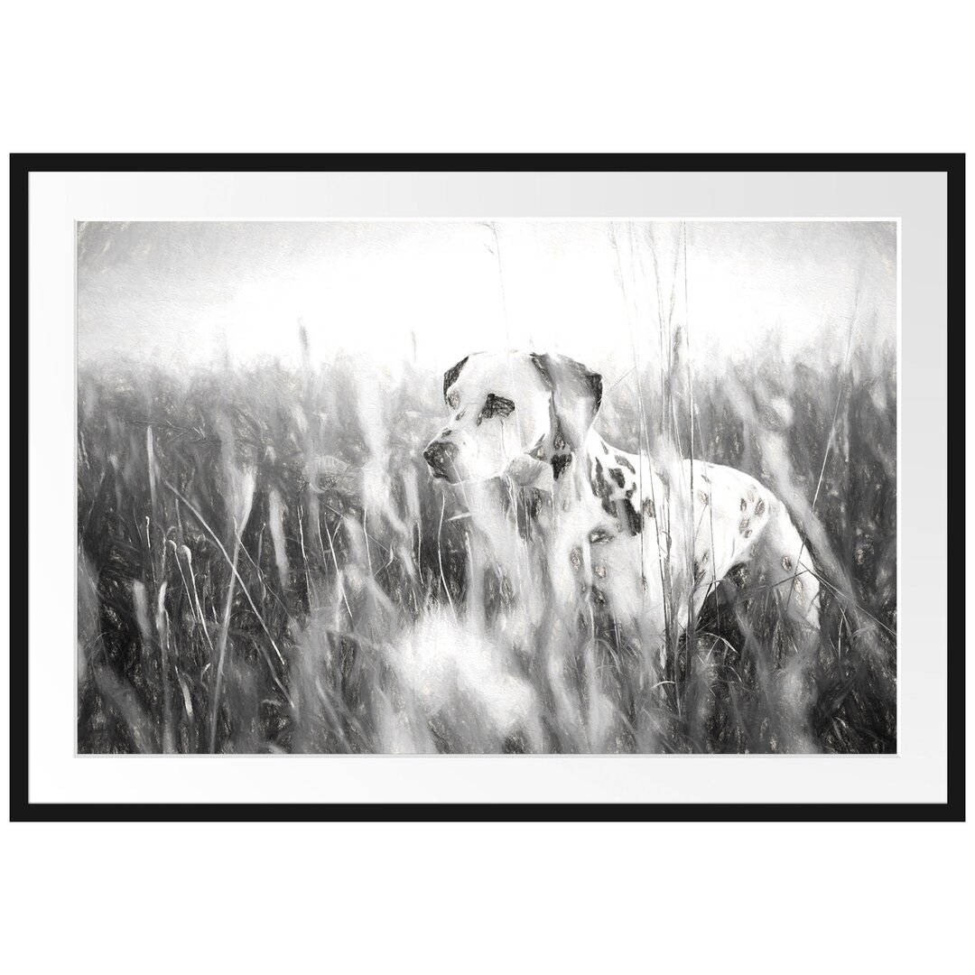 Gerahmtes Papierbild Neugieriger Hund im Feld