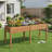 Raised Garden Bed Elevated Fir Wood Planter Box With 2 Large Planting Areas-1376967433