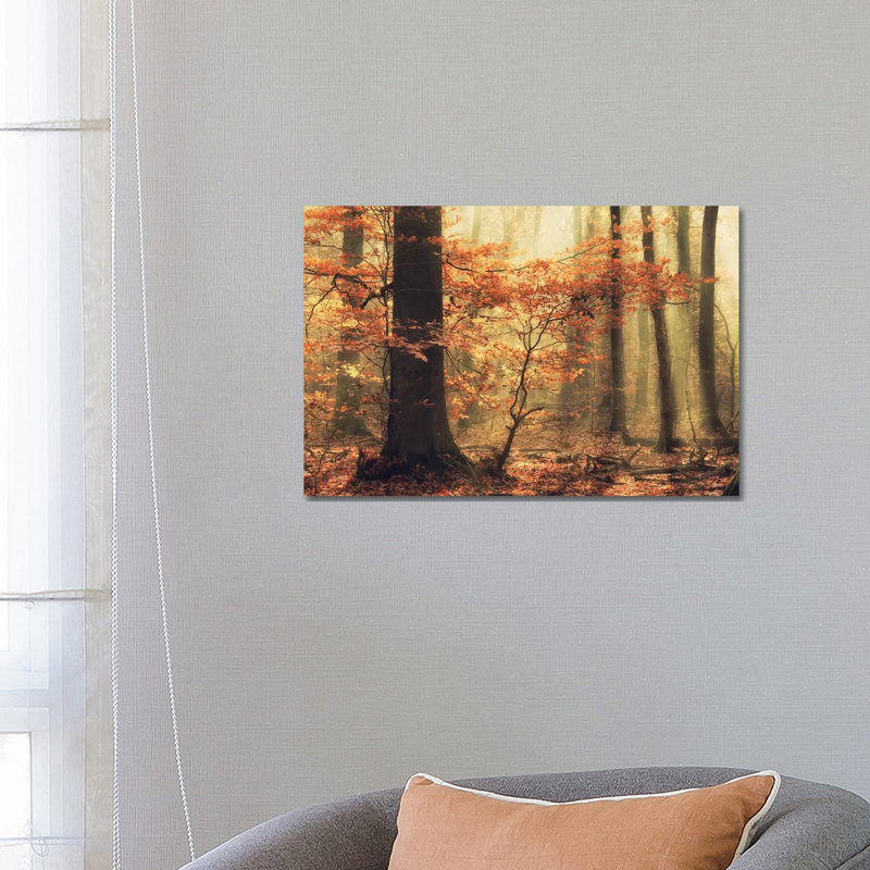 Soft Fall by Anton Van Dongen - Wrapped Canvas Print, 66.04 cm H x 45.72 cm W x 3.175 cm D
