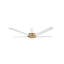 Speakeay Smart Downrod Ceiling Fan-700956215