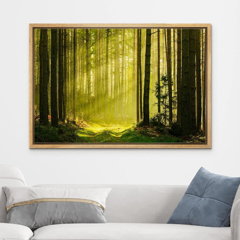 Nature, paysage, printemps, été, soleil, forêt verte, photographie sur toile, H 24 po x l 36 po x P 1,5 po, Cadre naturel