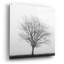 «Winter Trio III» par Nicholas Bell, art mural en verre acrylique-25206171