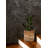 Gaylor Wood Cachepot-2027825116