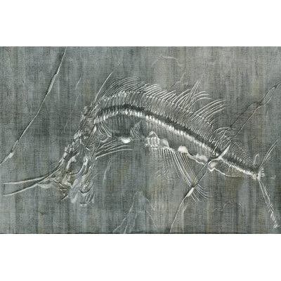 Fossil Imprint I by John Butler - Wrapped Canvas Print