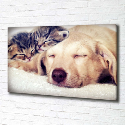 Puppy And Cats - Wrapped Canvas Print