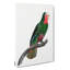 A Cuban Parrot by F. Levaillant - Wrapped Canvas Painting-55368088