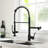 Pull Down Sprayer Brass Contemporary Kitchen Faucet For Large Sinks