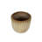 Ifzal Ceramic Indoor / Outdoor Pot Planter