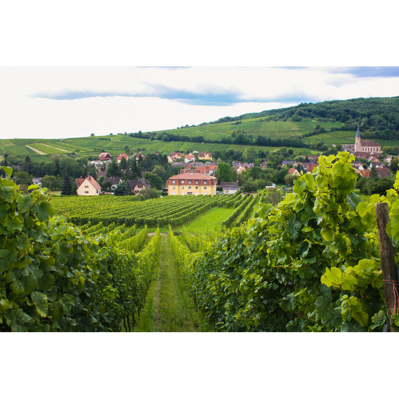 Alsace Wine Road by DesmoHolic - Wrapped Canvas Print, 61cm H x 91cm W