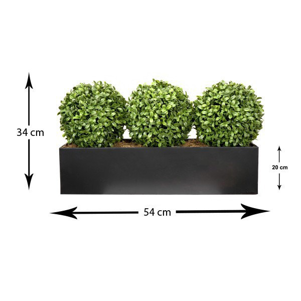 Topiary Ball (54cm) Window Box Black, Triple, Black