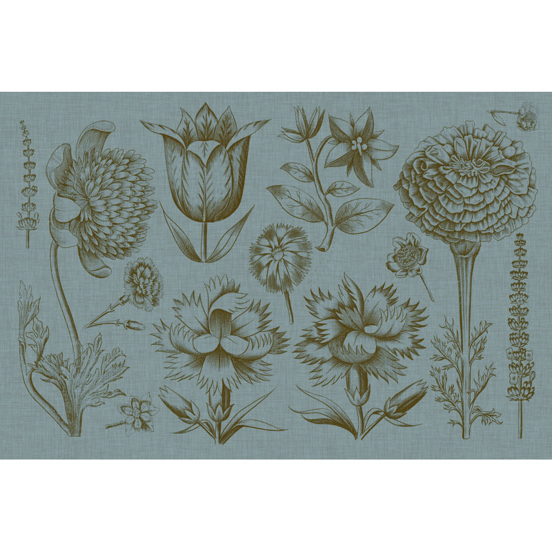 Flower Display II by Lisa Choate - Wrapped Canvas Print, 81cm H x 122cm W 