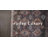 Sacoya Indoor / Outdoor Rug-571060648