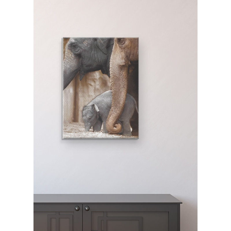 " Family Moment " by Danita Delimont, 36" H x 24" W x 2" D