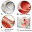 Corail chambre Nautilus spirale sur toile-97044317-97044325