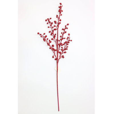 Cueillette de baies rouges scintillantes