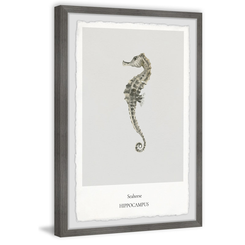 The Hippocampus - Single Picture Frame Print, 30cm H x 20cm W x 3.81cm D