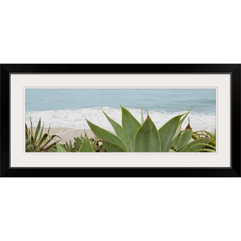 « succulent eaux », reproduction de photo Alan Blaustein, H 24 po x l 56 po x P 1 po, Cadre noir
