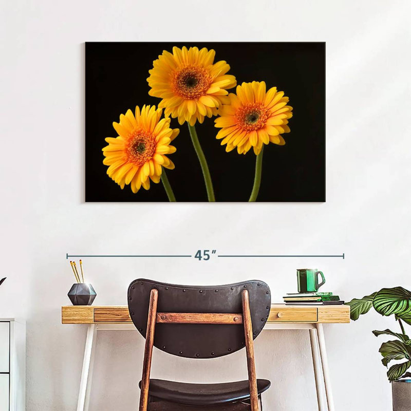 Trois marguerites Harnek sur fond sombre, H 26 po x l 39 po