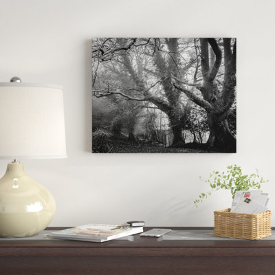" Creepy Graveyard Trees "