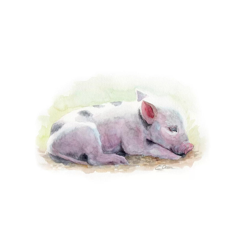 «Sleeping Farm Piglet», reproduction d'art, Toile tendue, Pas de tapis, H 8 po x l 12 po x P 0,75 po