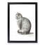 A Sitting Cat by Jean Bernard - Framed Print-87666184-87666185