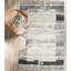 Tapis crème / gris Casey-Marie-145024160
