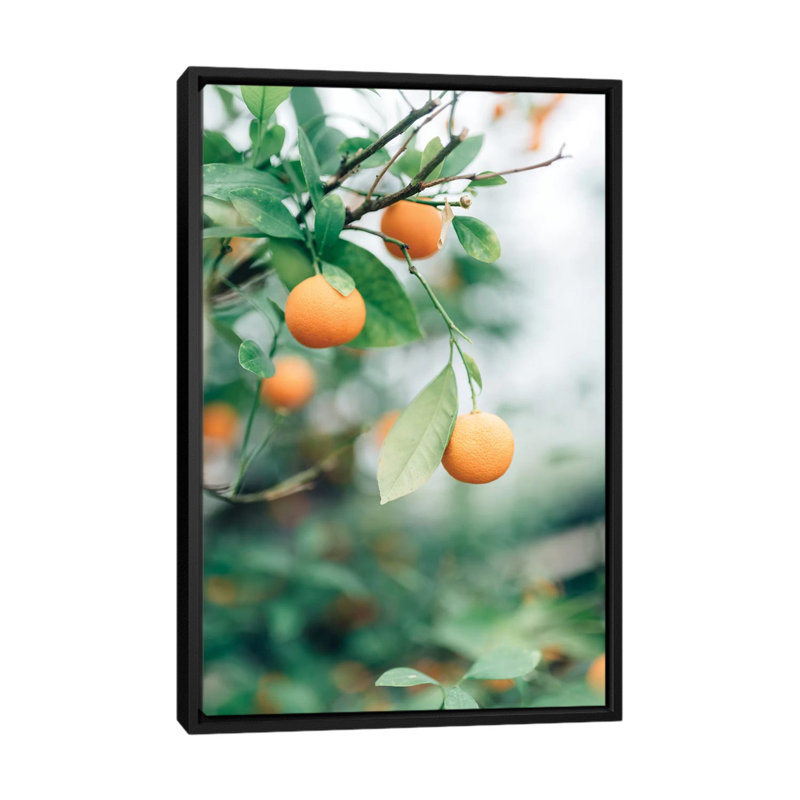« orange tree » sur toile, H 26 po x l 18 po x P 1,5 po, Toile avec cadre noir, Pas de tapis