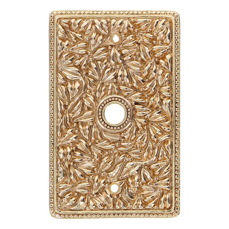 San Michele 1-Gang Coax Wall Plate, Polished Gold