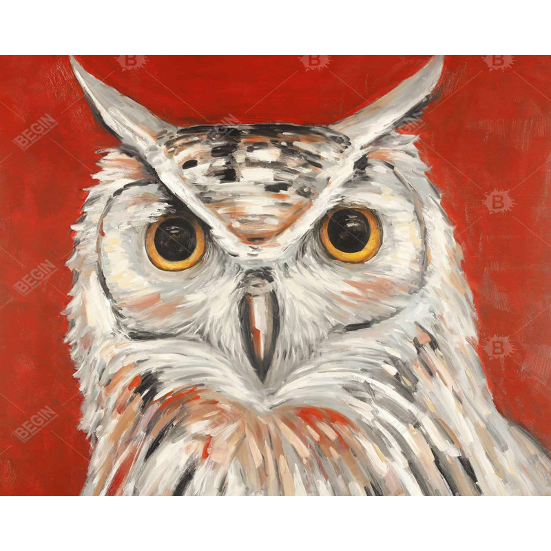 Colorful Eagle Owl Placemat | Bedroom Bird Decor | Polyester