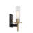 Everly Quinn Baldwin Park Coal And Soft Brass Vanity Light