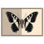 «Duality of a Monarch IV», reproduction d'art acrylique encadrée par Art Remedy, cadre doré, 15 x 10-628647680-628647690