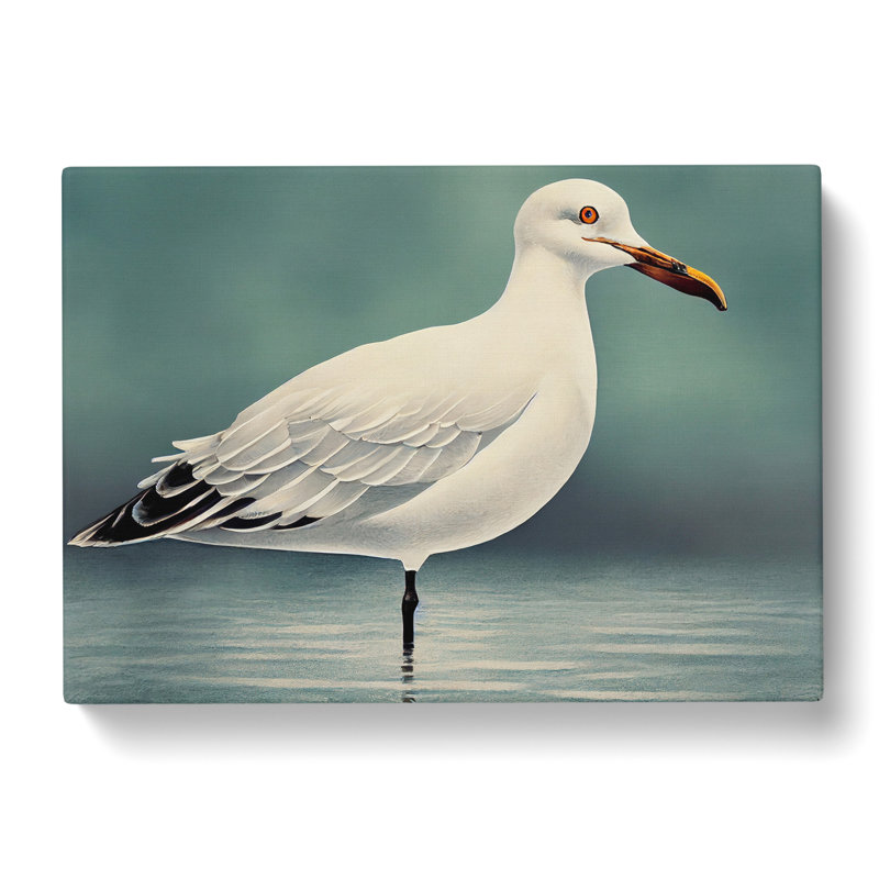 Seagull Portrait Vol.4 - Wrapped Canvas, 40cm H x 60cm W x 3cm D