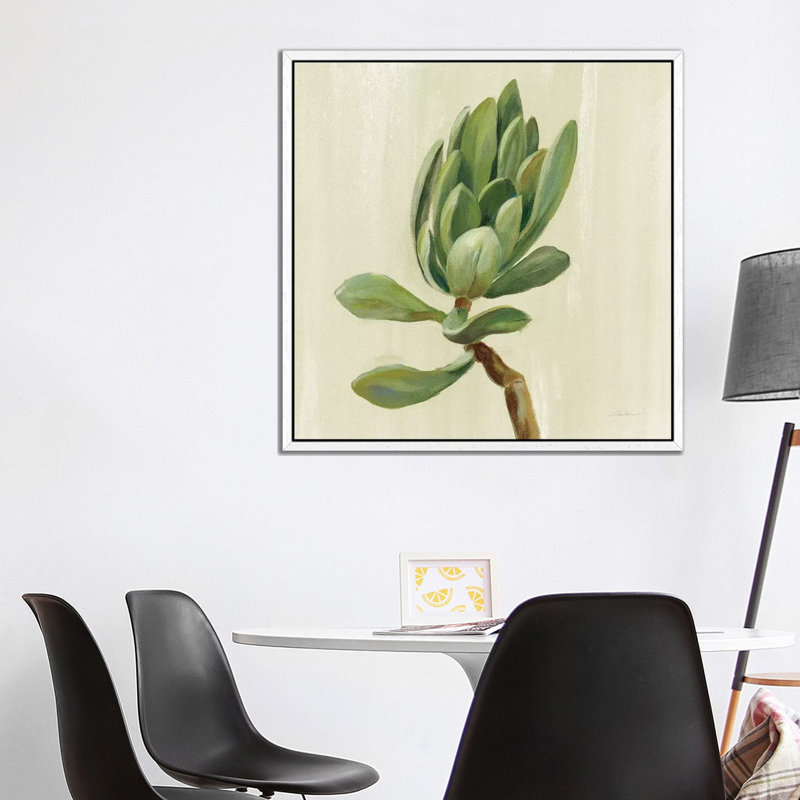 Front Yard Succulent III by Silvia Vassileva - Gallery-Wrapped Canvas Giclée on Canvas, 93.98 cm H x 93.98 cm W, White Framed