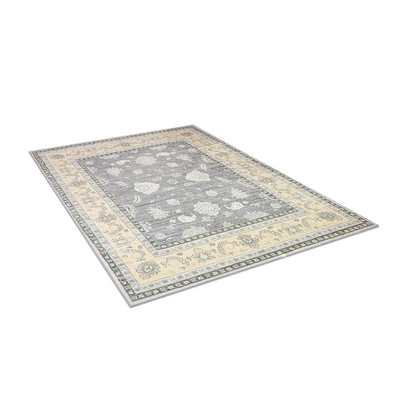 Chabria Oriental Area Rug, Rectangle 160 x 230cm