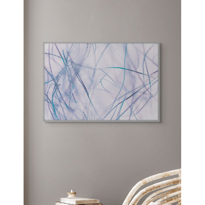 Violet Fibers 1 Print, 15.25" H x 21.25" W