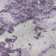 Premium Machine Washable Prisco Lavender Rug