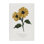 Art mural sur toile Proverbe avec tournesols par Lucille Price