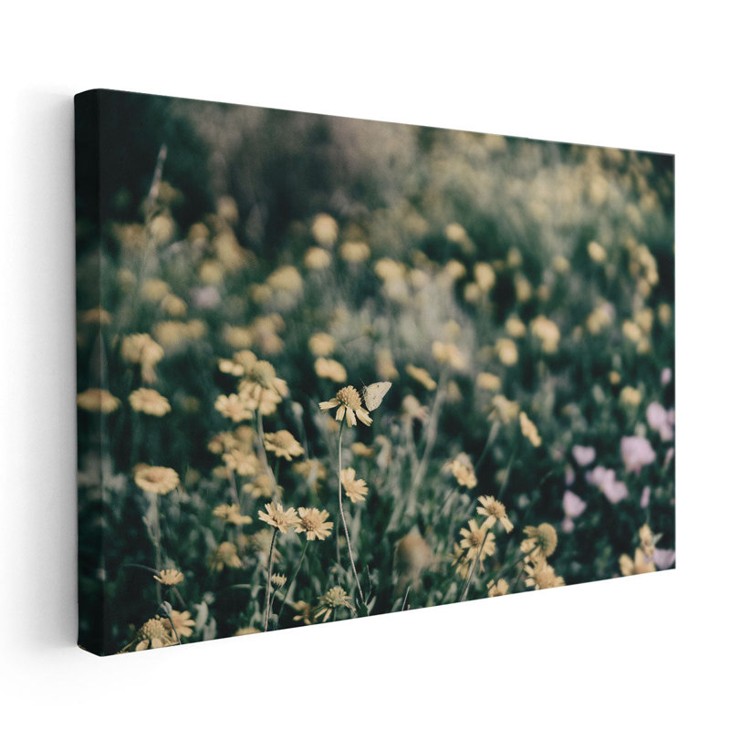 «Field Friends Fade», reproduction d'art sur toile, H 24 po x l 36 po