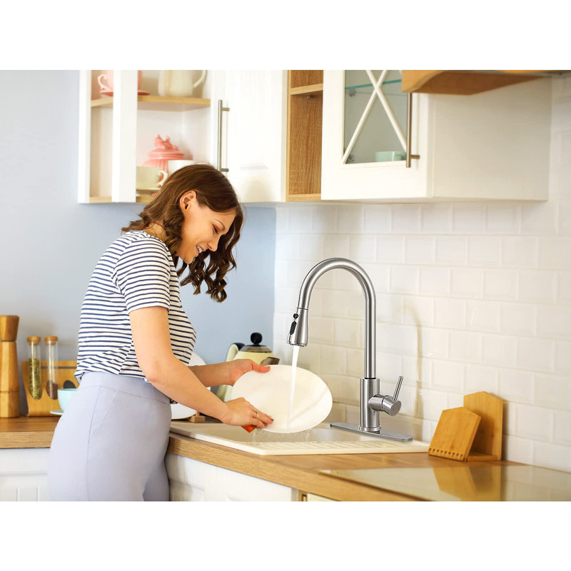 DORNBERG Pull Out Kitchen Faucet, Brushed Nickel