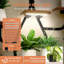 Plant Stand