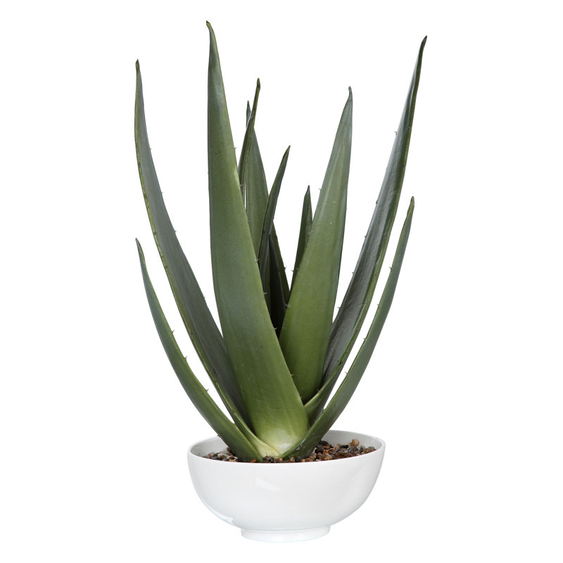 30'' Faux Aloe Succulent in Stone Pot